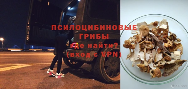 бошки Горно-Алтайск